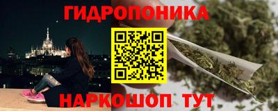 индика Заводоуковск