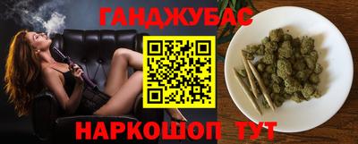 индика Заводоуковск