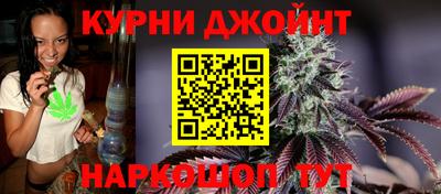 индика Заводоуковск
