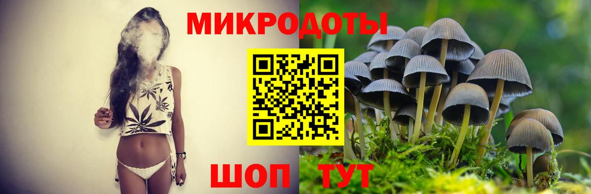 Галлюциногенные грибы MAGIC MUSHROOMS  Вход с VPN  Касимов 